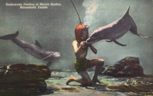Postcards — Brass Hat Diver collection